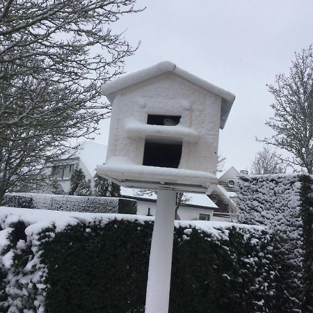 B&B Colombe Blanche Knokke-Heist Zewnętrze zdjęcie
