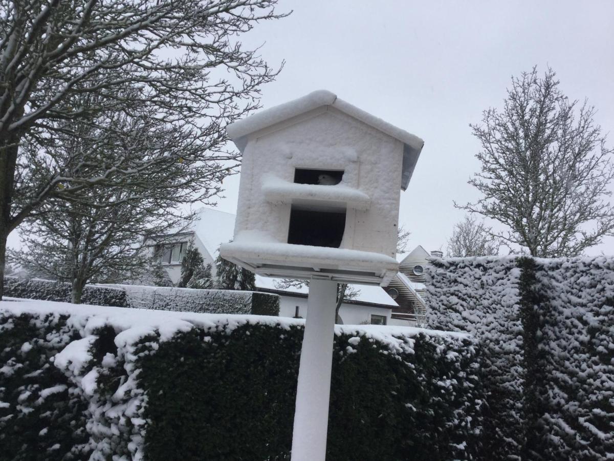 B&B Colombe Blanche Knokke-Heist Zewnętrze zdjęcie